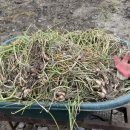 종구축사 이미지