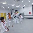 용인대 버들 태권도 이미지