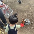 세아농장 이미지