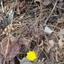 다소농장 이미지