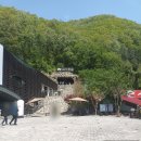 단양맛고을 이미지