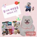 24시무인애견간식아무도없개 - 전주시 덕진구 오공로 43-52 | 24시무인애견간식아무도없개