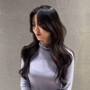 단디헤어 이미지