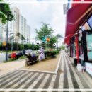 천년나무3단지 앞 이미지