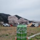이목리 야구장 | 경북 문경야구장 노지캠핑 1박 2일 벚꽃캠핑 후기