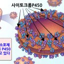 활인당한의원 네이버블로그