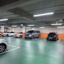 야옹아 멍멍해봐 살롱 이미지