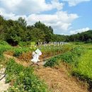 전북 남원시 수지면 남창리 / 밭 전, 요양병원용지 주말농장용지 귀농귀촌부지 귀농지 야적장부지 / 1 이미지