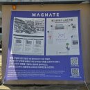 부산 여행 기념품 추천 대연동 옷가게 메그네이트 MAGNATE