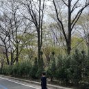 협성숲속의작은도서관 | 아이랑 월아산 숲속의진주, 우드랜드 목재문화체험장 어린이목공체험🧱