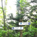 광덕1로2 이미지