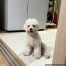 도담도담이발소 이미지