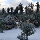 원하우스펜션2 이미지