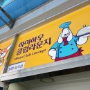 하이원펫클럽 | [정선여행] 강원도 정선 하이원 리조트 <힐콘도 펫클럽> 후기