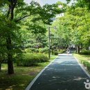 화정중앙공원 이미지