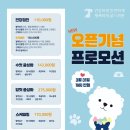 더펫동물병원 이미지