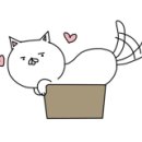 중앙동159 이미지