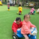 붕붕카매니아 이미지