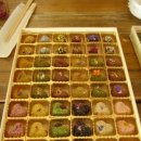 춤추는꽃동네 이미지