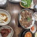 하시카츠 이미지