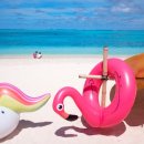 여름방학(summer vacation) 이미지