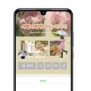 모던스킨