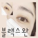 블랙스완래쉬 이미지