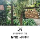 팔라완 여행 패키지 2일차 - 시티투어(베이커스 힐, 나비농장)