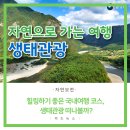 달빛관광 코스 이미지
