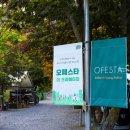 매봉힐링캠프 이미지