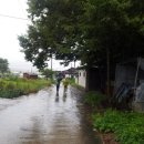 산울림 농장 이미지