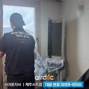 제주에닥