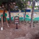 서평초등학교 이미지