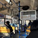 산호세치과의원 | 여권사진 &amp; 10년짜리 여권갱신 재발급 등기수령