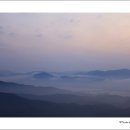 지상의양식