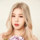 해시태그 이미지