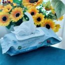 그린클린 | 그린핑거 데일리 클린티슈 2주 사용 솔직후기