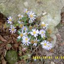 천왕봉산장앞 이미지