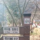 보성 천봉산 이미지