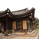 민들레울 이미지