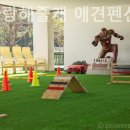 평생 사랑해 줄 개 애견펜션1 이미지