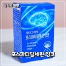 닥터그레잇 뇌영양제 포스파티딜세린 체험 후기