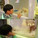 [메르하바 터키]이스탄불 도매시장(이집션 바자르 근처)에서 현지인과 장보기