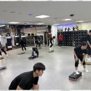 레드윙복싱