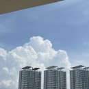 깨끗한나라세탁소 | 1년 반만에 쓰는 비세부(Bcebu) 기록(1)