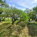 구암동498 이미지