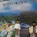 논산태권도장 국제뉴스