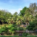 베틀농장 이미지