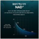 씨앤엘쁘띠 | 해남기미 피부 변화의 놀라운 경험, 씨앤엘쁘띠스킨케어 방문 후기