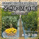 전주 근교 대형카페 숨겨진 농장에서 레몬 키우는 카페 후기